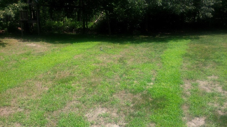 What is a good way to prevent crabgrass?