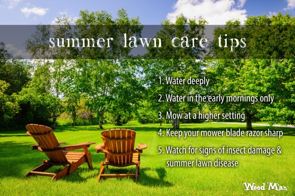 Weed Man Lawn Care Tips